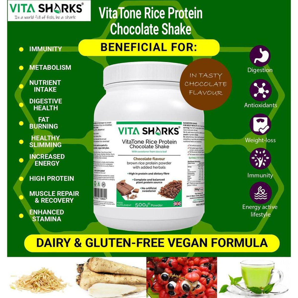 VitaTone chocolate brown rice protein powder tub surrounded by raw rice, cocoa beans, and green tea leaves on a green background.